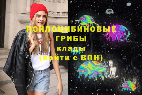 спиды Абаза