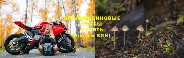 спиды Абаза