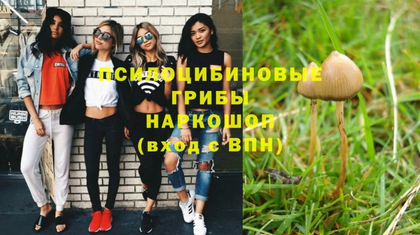 спиды Абаза